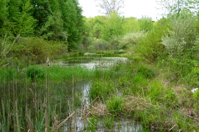 Stormwater Photo